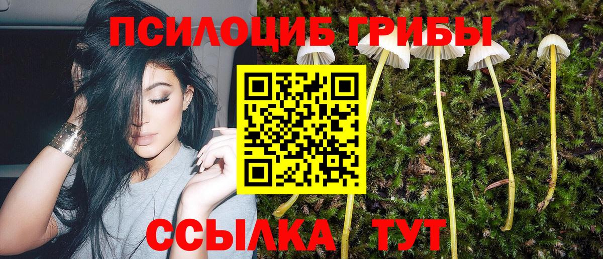 Галлюциногенные грибы прущие грибы  Псилоцибиновые грибы мухоморы  Вход с VPN  купить наркотики цена  Лабытнанги 